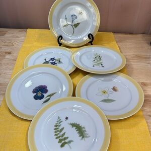 Williams Sonoma Ladybug Plates set of 6 Summer Studies NIB
